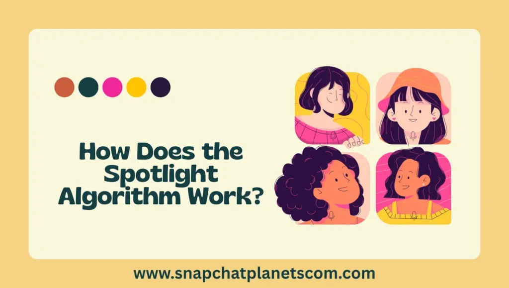 How Does the Spotlight Algorithm Work